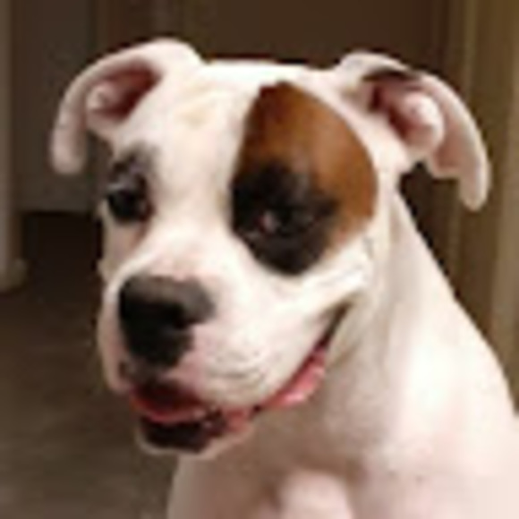 Meet your Posher, Haley - Picture 1 of 1